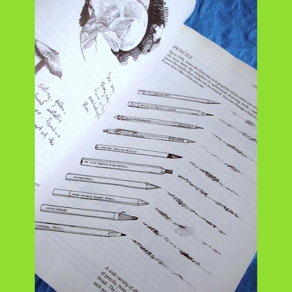 Book: The Sierra Club Guide to Sketching in Nature, by Cathy Johnson - Picture 11 of 16